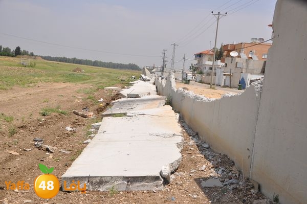 wallludshaneer509 (12).JPG